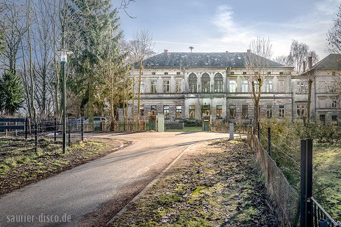 Sommerfest Schönhof Schlosspark, Saurier-Disco, Die Saurier-Disco, Saurierdisco, Disco mit Manny DJ MWJ, Musik zu jeder Urzeit, Das Original